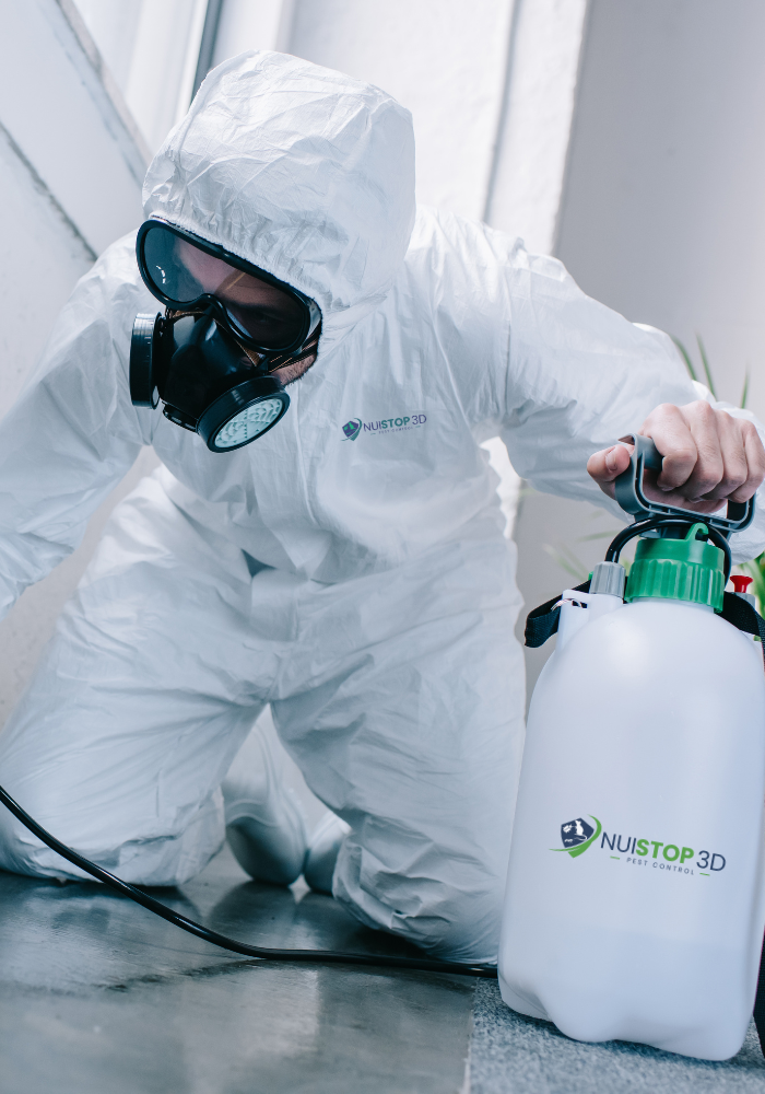 société anti-nuisible Rabat