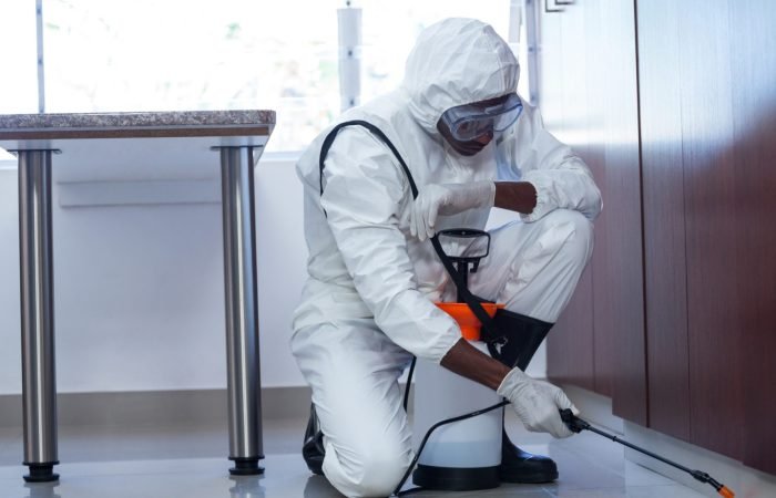 Contrôle des nuisibles Rabat