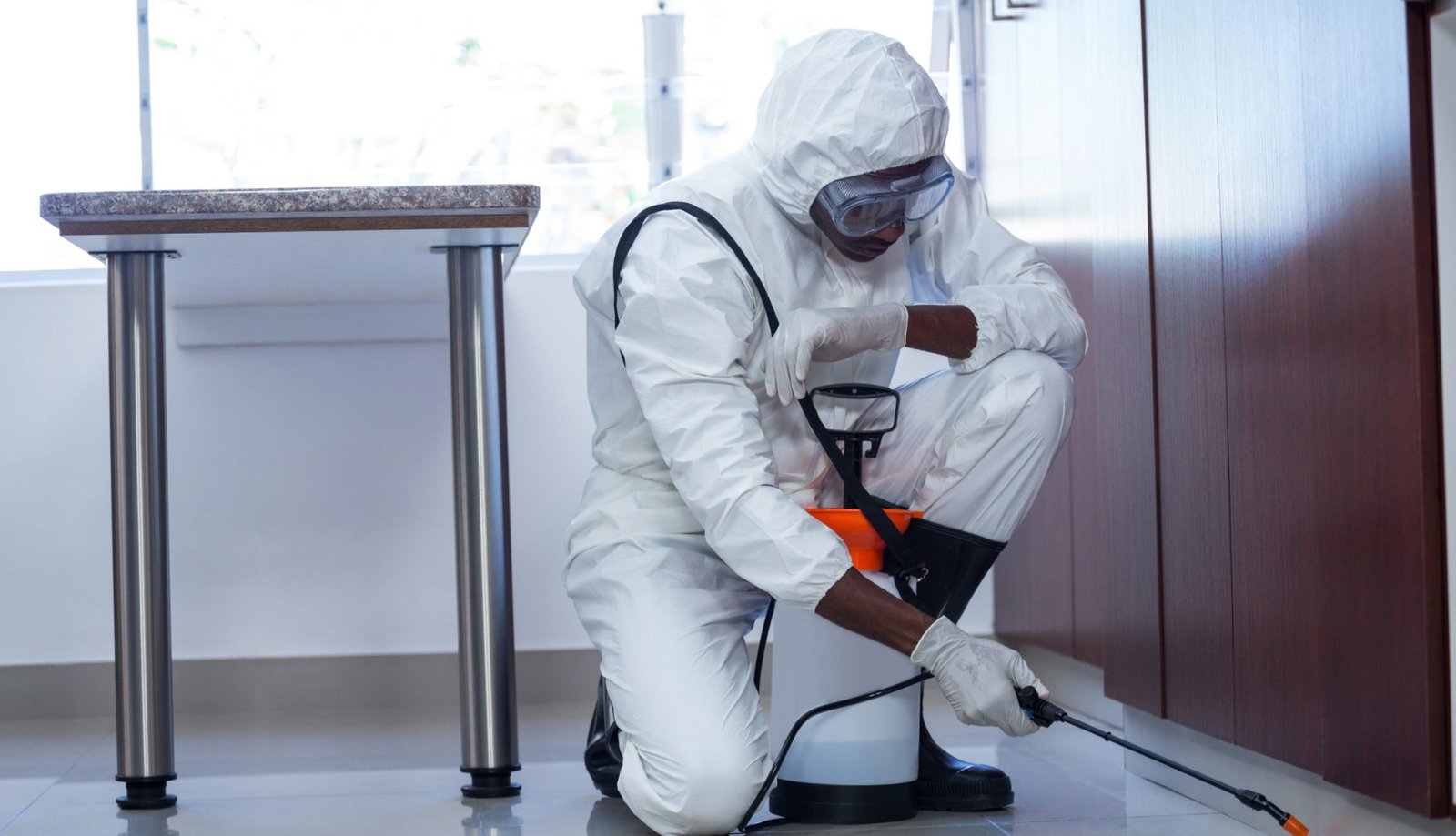 Contrôle des nuisibles Rabat