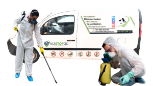 solution anti nuisibles Rabat