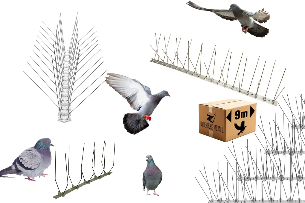 Pics Barrière anti pigeon