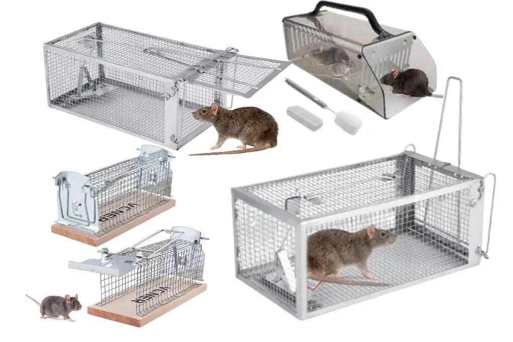 Tapettes & Cages de Capture