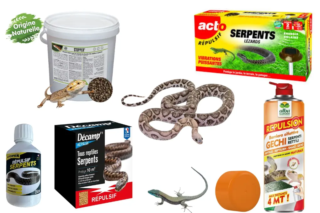 Répulsifs pour Serpents et Lézards