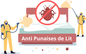traitement anti Punaises de Lit à Rabat