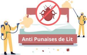 traitement anti Punaises de Lit à Rabat